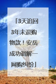 3天追回3年未退购物款！安岳成功调解一网购纠纷