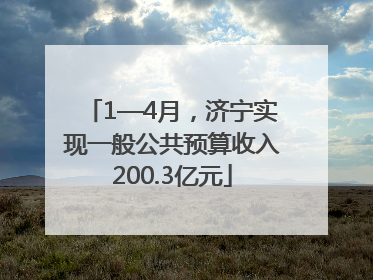 1—4月，济宁实现一般公共预算收入200.3亿元