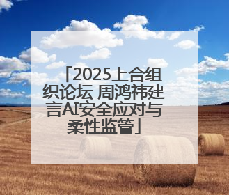 2025上合组织论坛 周鸿祎建言AI安全应对与柔性监管