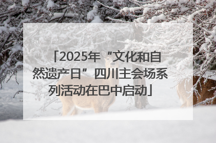 2025年“文化和自然遗产日”四川主会场系列活动在巴中启动