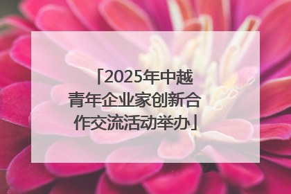 2025年中越青年企业家创新合作交流活动举办