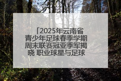 2025年云南省青少年足球春季学期周末联赛冠亚季军揭晓 职业球星与足球小将共享荣耀时刻