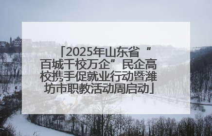 2025年山东省“百城千校万企”民企高校携手促就业行动暨潍坊市职教活动周启动