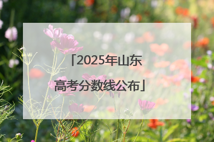 2025年山东高考分数线公布