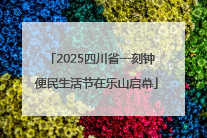 2025四川省一刻钟便民生活节在乐山启幕