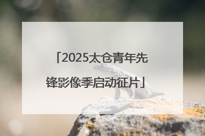 2025太仓青年先锋影像季启动征片