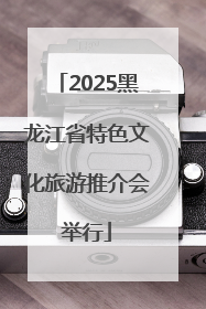 2025黑龙江省特色文化旅游推介会举行