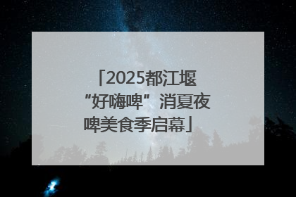 2025都江堰“好嗨啤”消夏夜啤美食季启幕
