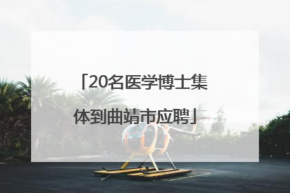20名医学博士集体到曲靖市应聘