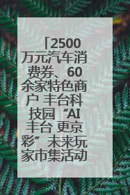 2500万元汽车消费券、60余家特色商户 丰台科技园“AI丰台 更京彩”未来玩家市集活动正式开幕