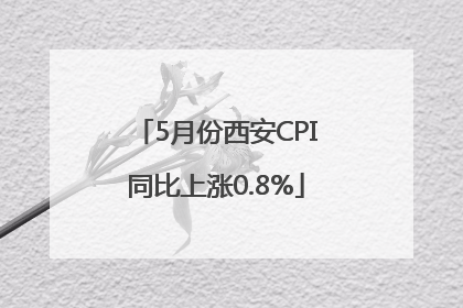 5月份西安CPI同比上涨0.8%