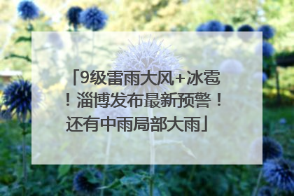 9级雷雨大风+冰雹！淄博发布最新预警！还有中雨局部大雨