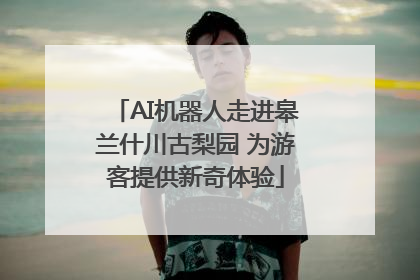 AI机器人走进皋兰什川古梨园 为游客提供新奇体验